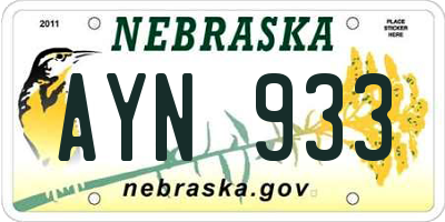 NE license plate AYN933