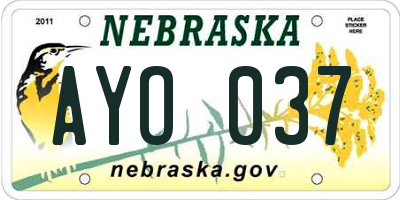 NE license plate AYO037