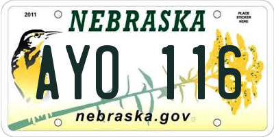 NE license plate AYO116