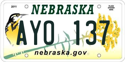 NE license plate AYO137