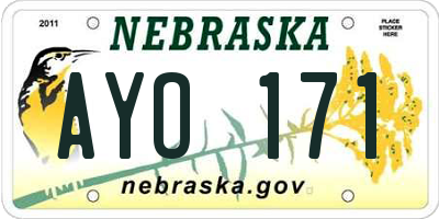NE license plate AYO171
