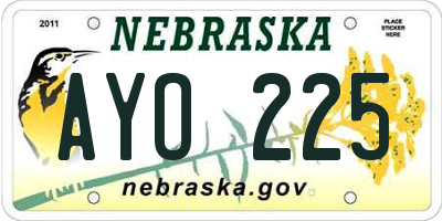 NE license plate AYO225