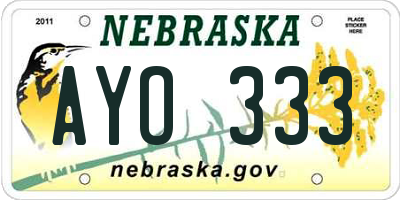 NE license plate AYO333