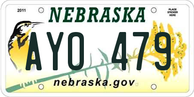 NE license plate AYO479