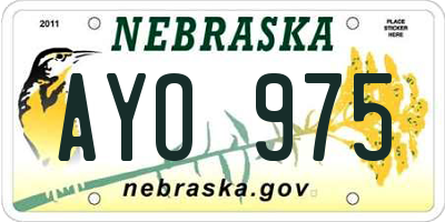 NE license plate AYO975