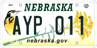 NE license plate AYP011