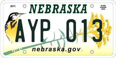 NE license plate AYP013