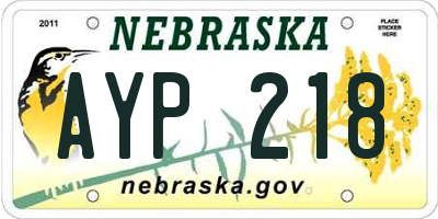 NE license plate AYP218
