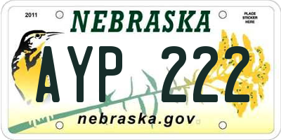 NE license plate AYP222