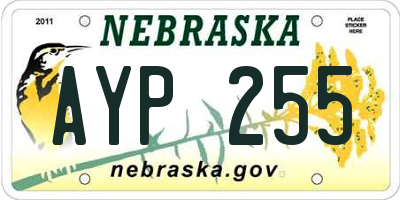 NE license plate AYP255