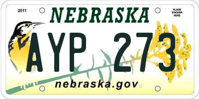 NE license plate AYP273