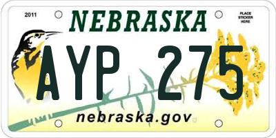 NE license plate AYP275