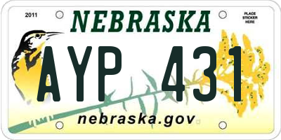 NE license plate AYP431