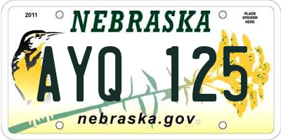 NE license plate AYQ125