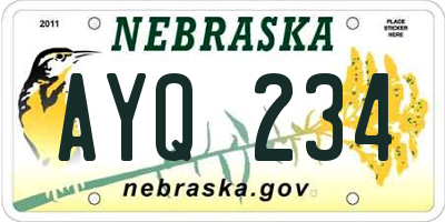 NE license plate AYQ234