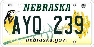 NE license plate AYQ239