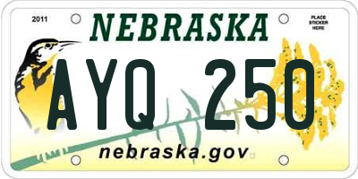 NE license plate AYQ250