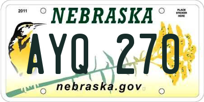 NE license plate AYQ270