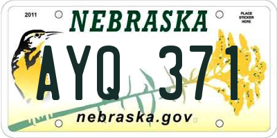 NE license plate AYQ371