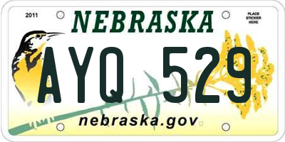 NE license plate AYQ529