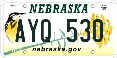 NE license plate AYQ530