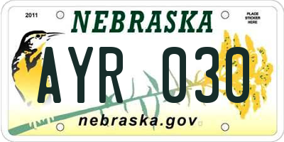 NE license plate AYR030