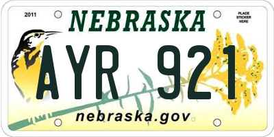 NE license plate AYR921