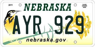 NE license plate AYR929