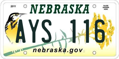 NE license plate AYS116