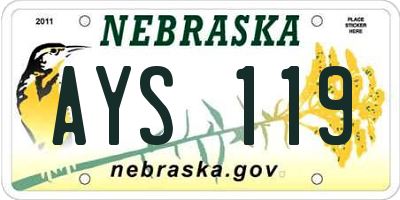 NE license plate AYS119