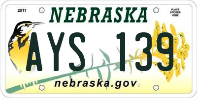 NE license plate AYS139