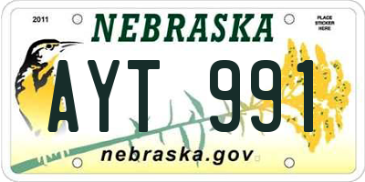 NE license plate AYT991
