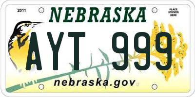 NE license plate AYT999