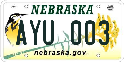NE license plate AYU003