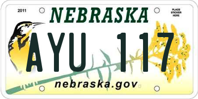 NE license plate AYU117