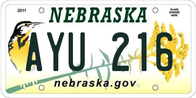 NE license plate AYU216