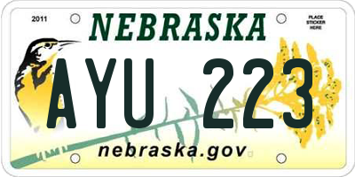 NE license plate AYU223