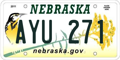NE license plate AYU271