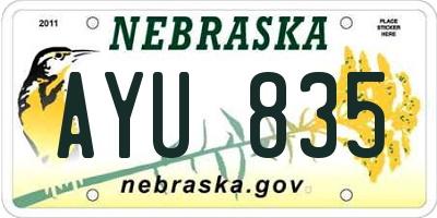 NE license plate AYU835