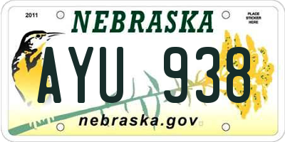 NE license plate AYU938