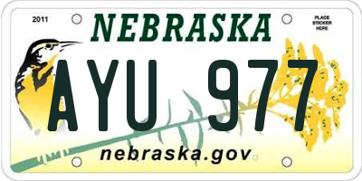 NE license plate AYU977