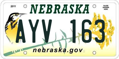 NE license plate AYV163