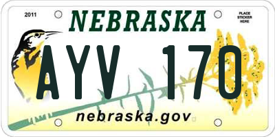 NE license plate AYV170