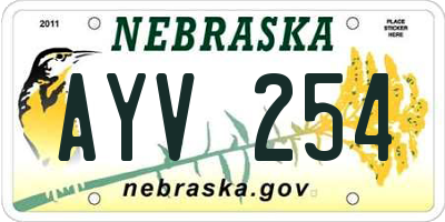 NE license plate AYV254
