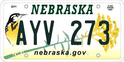 NE license plate AYV273