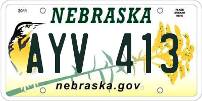 NE license plate AYV413