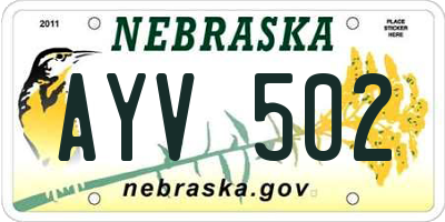 NE license plate AYV502