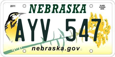 NE license plate AYV547