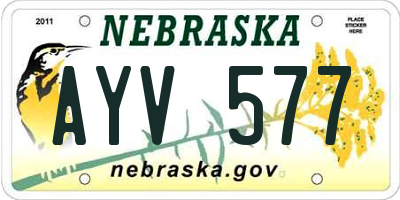 NE license plate AYV577