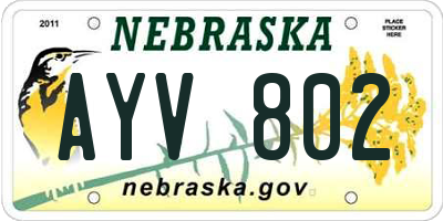 NE license plate AYV802